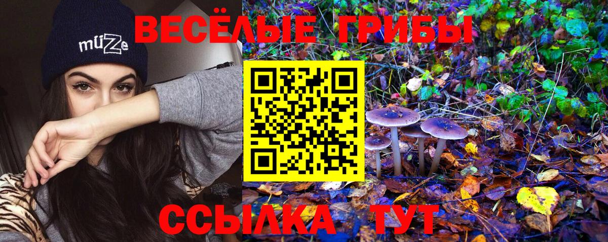 Псилоцибиновые грибы GOLDEN TEACHER Мичуринск