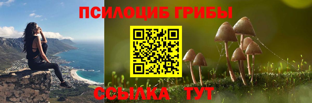 закладка  Вход с VPN  Псилоцибиновые грибы Psilocybe  Мичуринск  Галлюциногенные грибы Magic Shrooms 